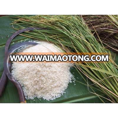 Wholesale White Rice 5%