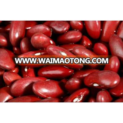 New Crop Red Kidney Beans