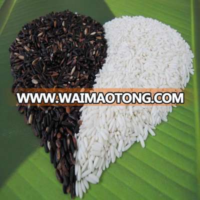 Thailand Sticky rice 100% Wholesale Glutinous rice