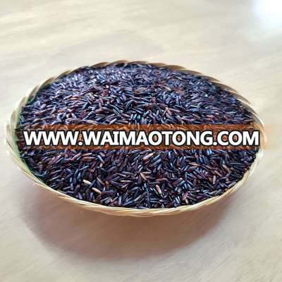 Export Thai Rice Berry , Brown Rice , Organic Rice Berry Jasmine Rice Berry 100% from Thailand