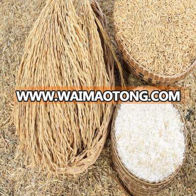 Wholesale White Rice Broken 5%