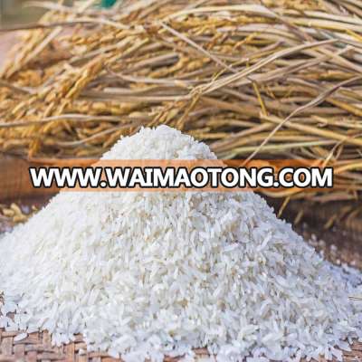 Wholesale White Rice Broken 5%